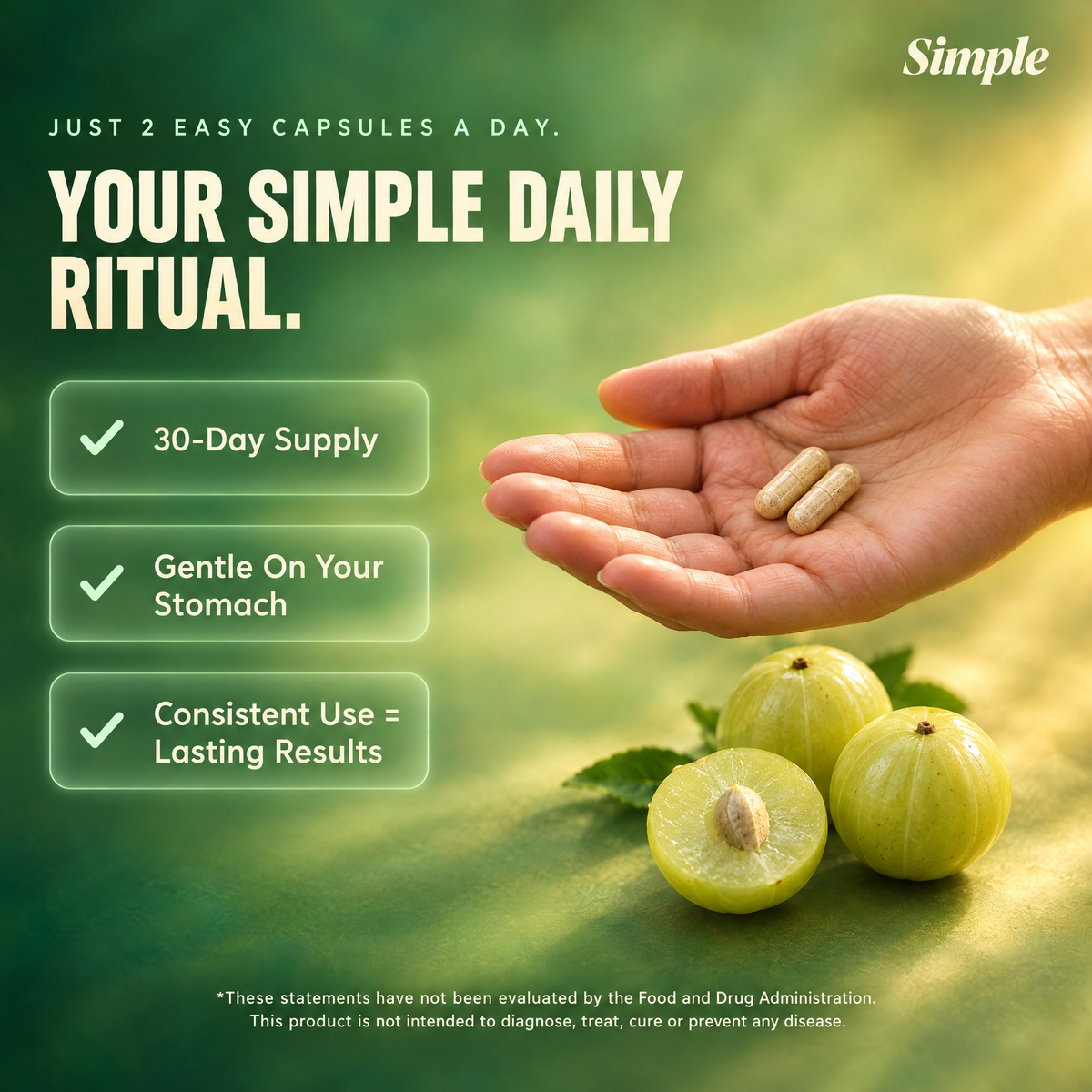 Amla Superfruit Extract Capsules
